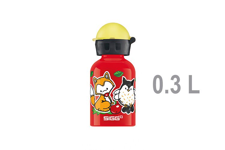 [DAM_6586239] Gourde Sigg 0.3L Amis de la Forêt