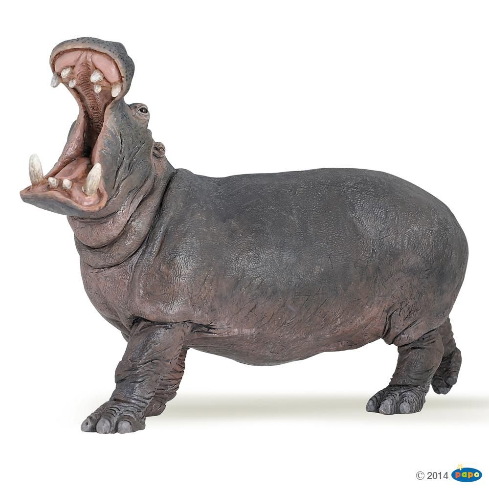 [PAP_50051] Hippopotame , Figurine de la Vie Sauvage Papo