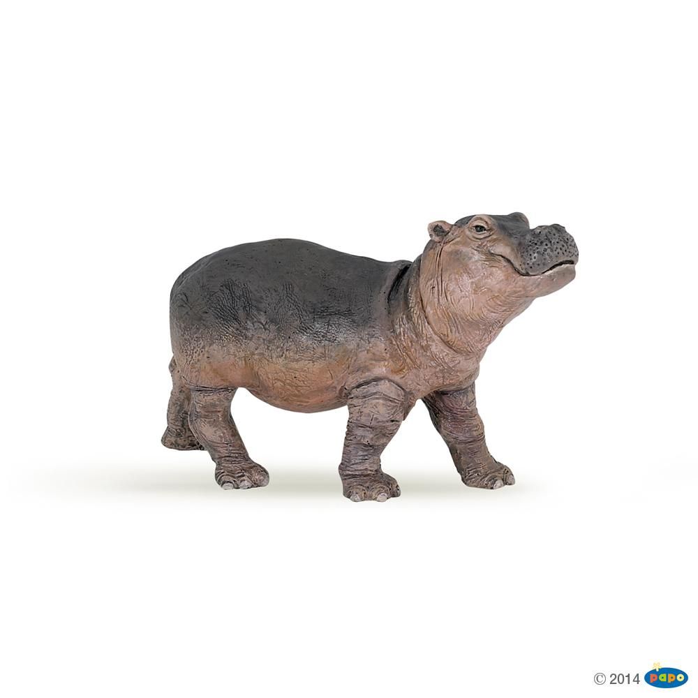 Bébé hippopotame , Figurine de La Vie Sauvage Papo