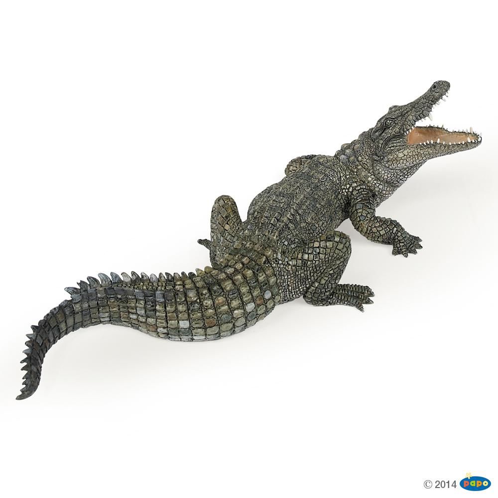 [PAP_50055] Crocodile du Nil , Figurine de la Vie Sauvage Papo