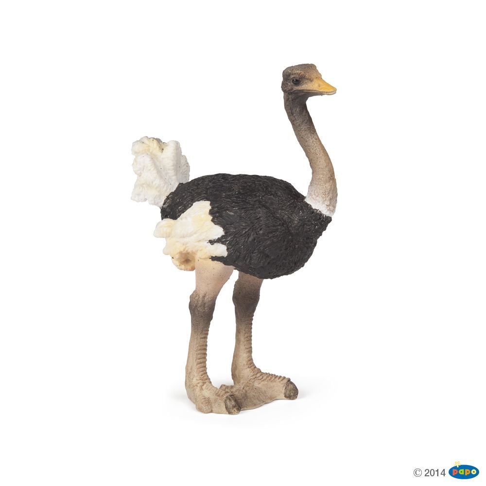 Autruche, Figurine de la Vie Sauvage Papo