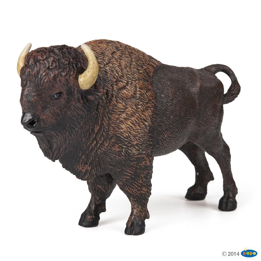Bison d'Amérique, Figurine de la Vie Sauvage Papo