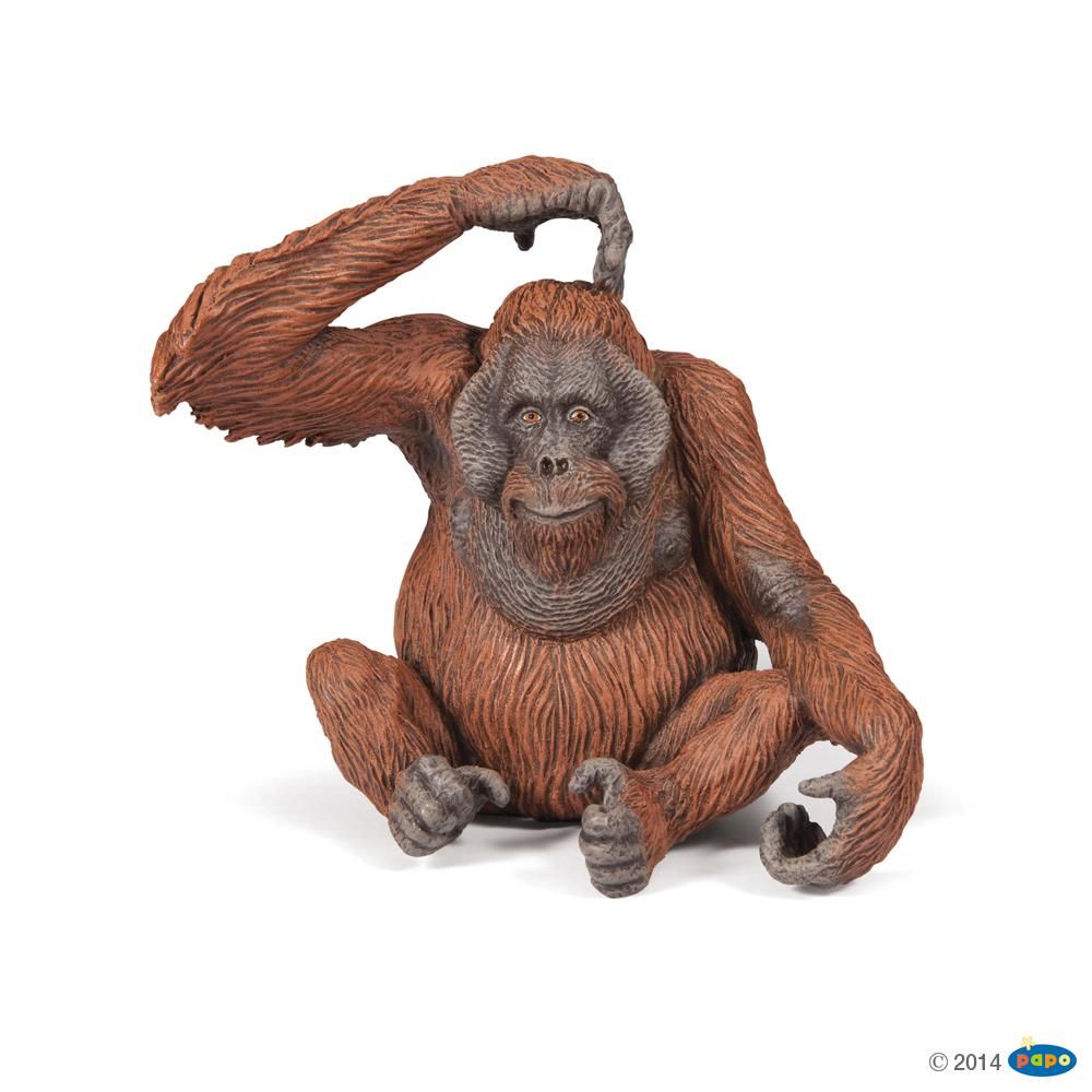 [PAP_50120] Orang-Outan, Figurine de la Vie Sauvage Papo