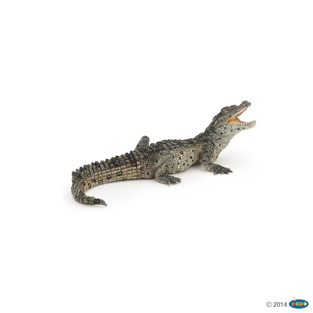 Bébé crocodile, Figurine de La Vie Sauvage Papo