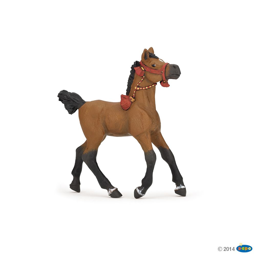 Poulain Arabe en Tenue de Parade, Figurine des Chevaux, Poulains & Poneys Papo