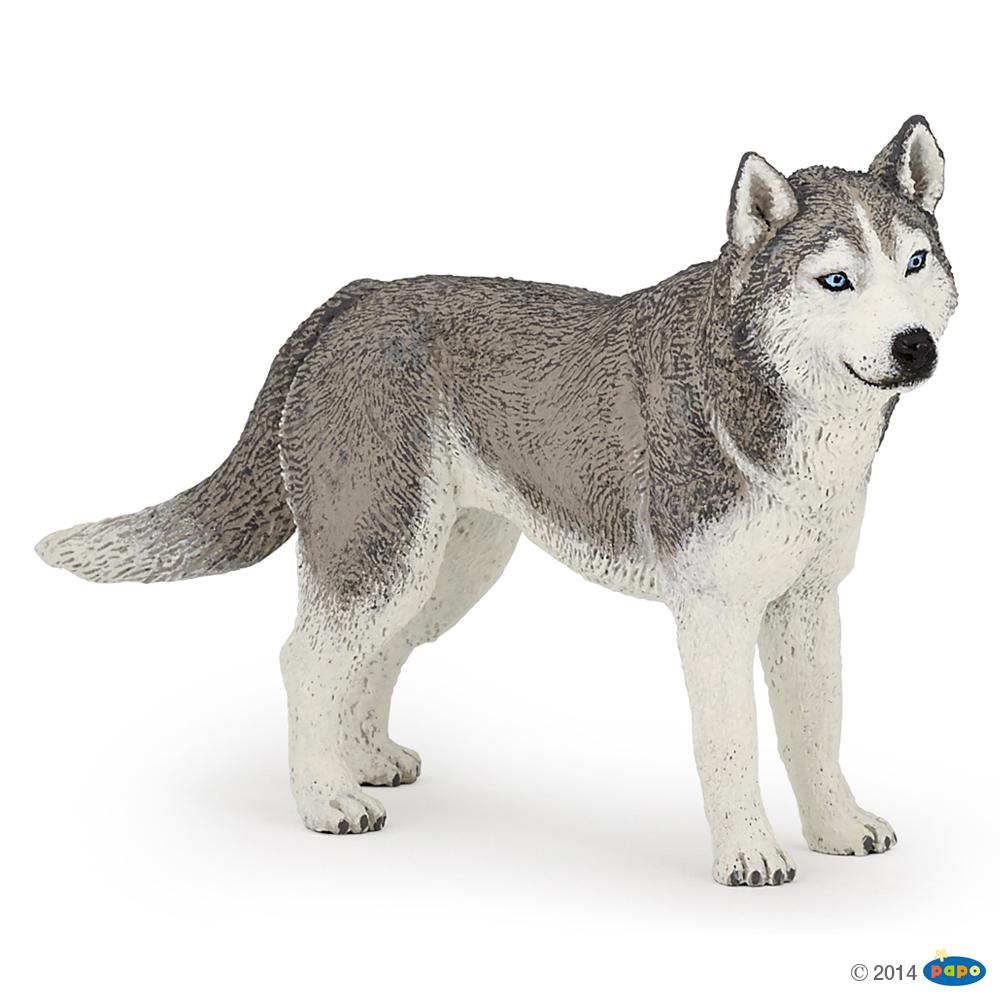 [PAP_54035] Husky de Sibérie, Figurine des Chiens & Chats de Compagnie Papo