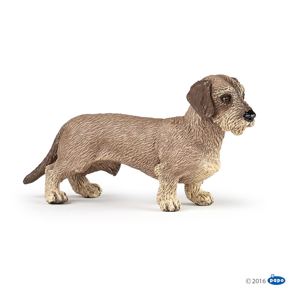 Teckel, Figurine des Chiens & Chats de Compagnie Papo