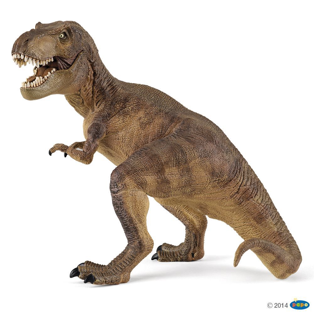 T-Rex , Figurine des Dinosaures Papo