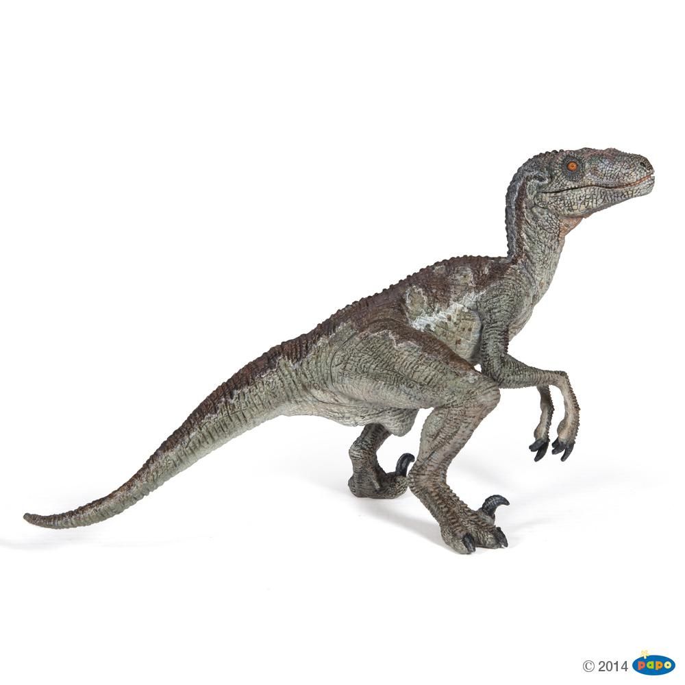 Vélociraptor, Figurine des Dinosaures Papo