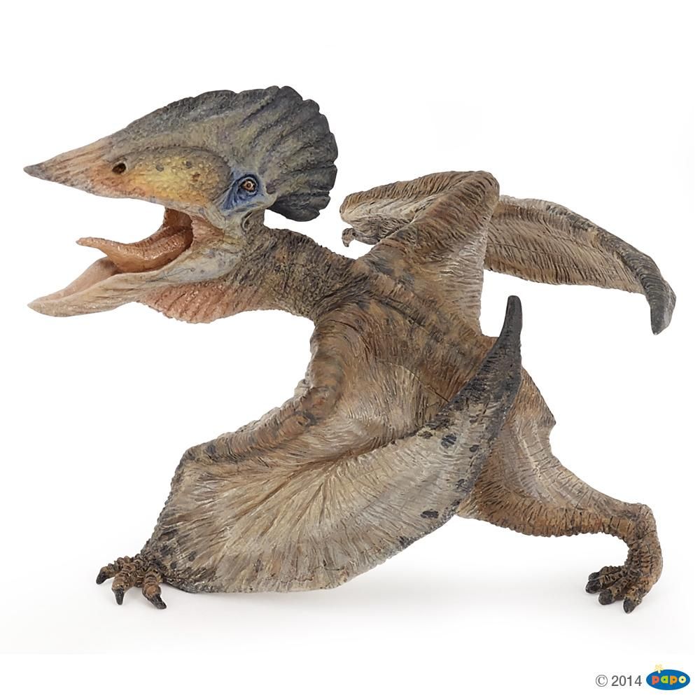 Tupuxuara, Figurine des Dinosaures Papo