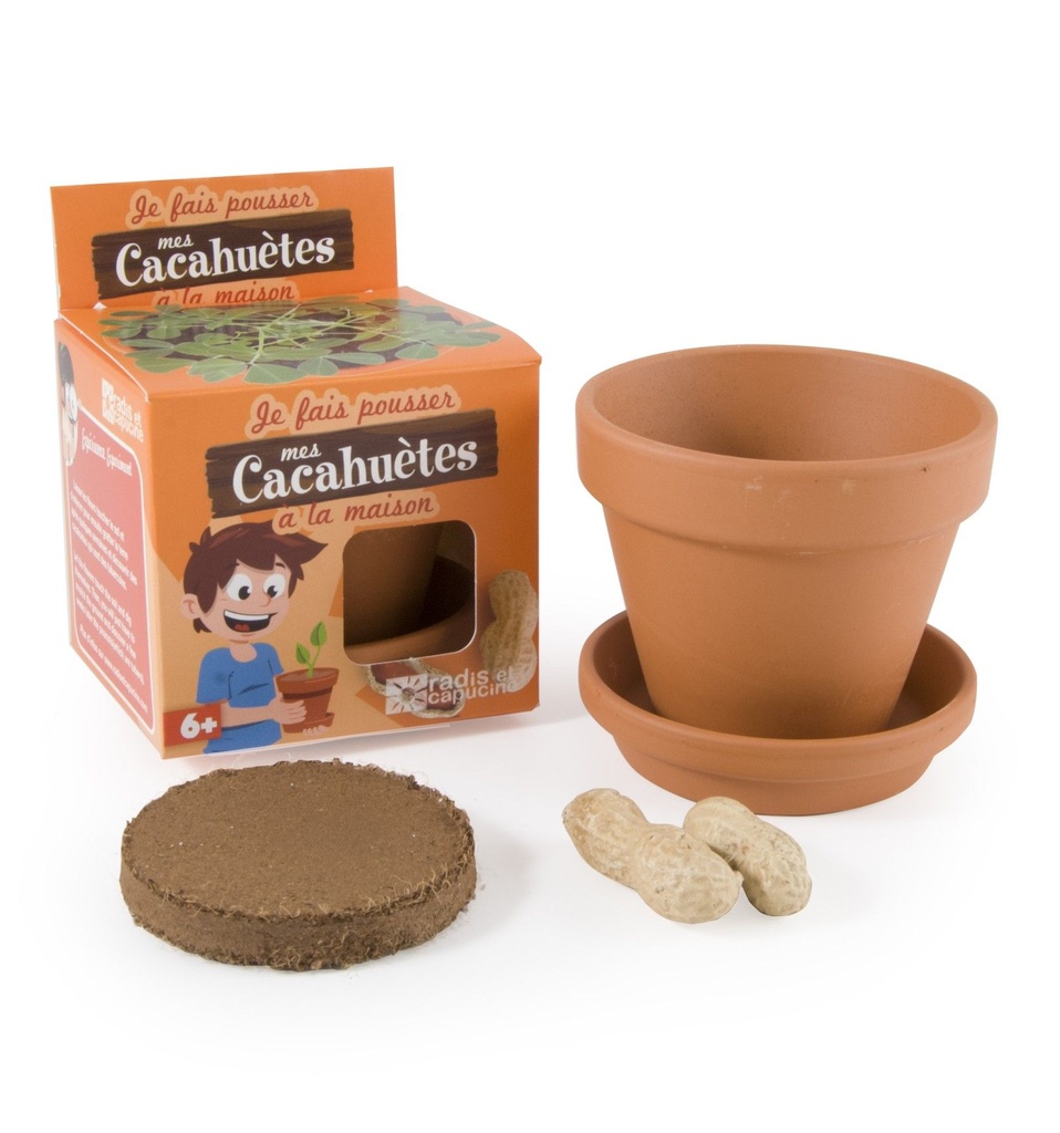 [RAD_14264] Pot avec Coupelle Cacahuète