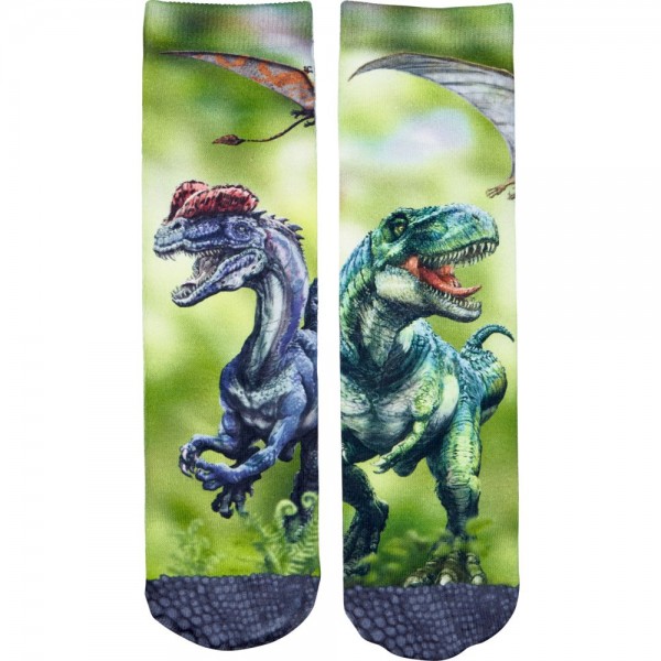 Chaussettes T-Rex