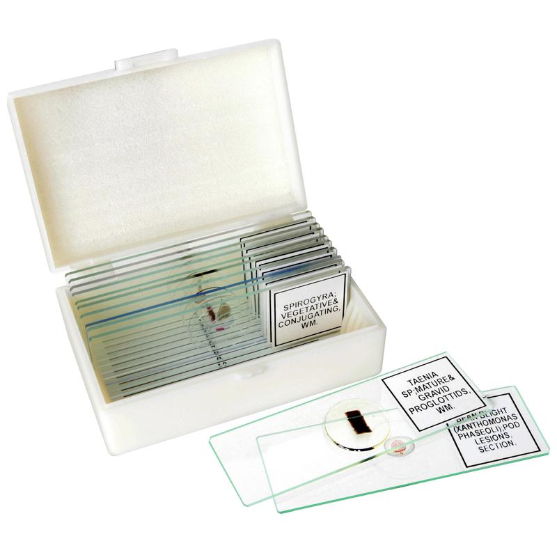 Contenu Biologie 12 Pcs