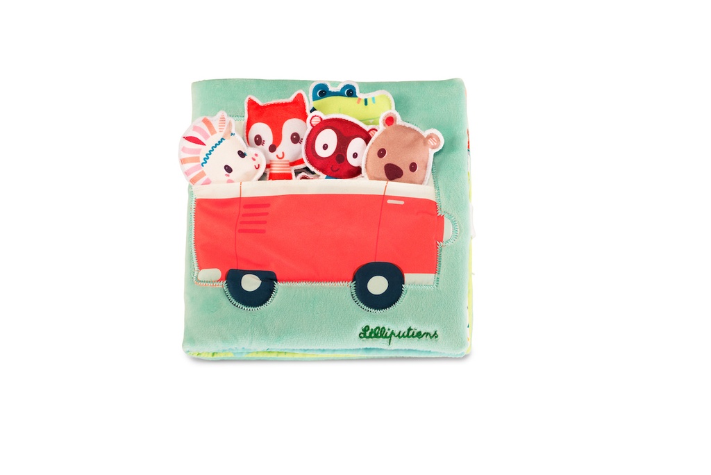 Livre "Louise et ses complices" *  