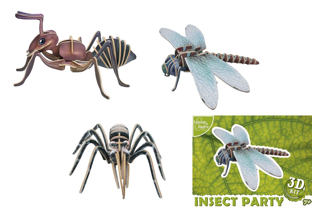 Maquette Medium Insectes (Bones&More 3D-Kit)
