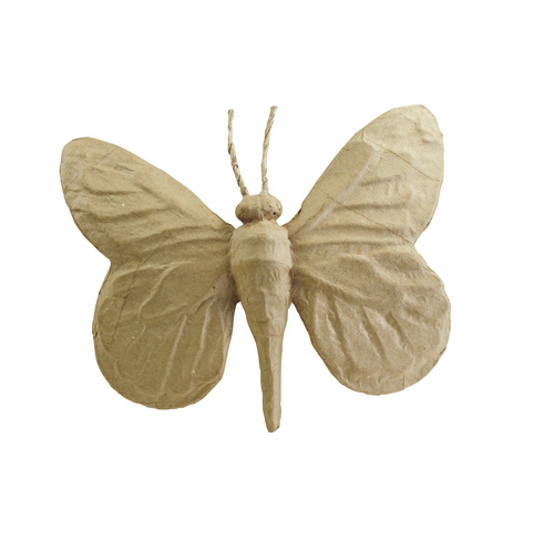 Papillon