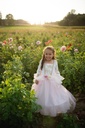 Robe de princesse rose pâle et or taille 5-6 ans