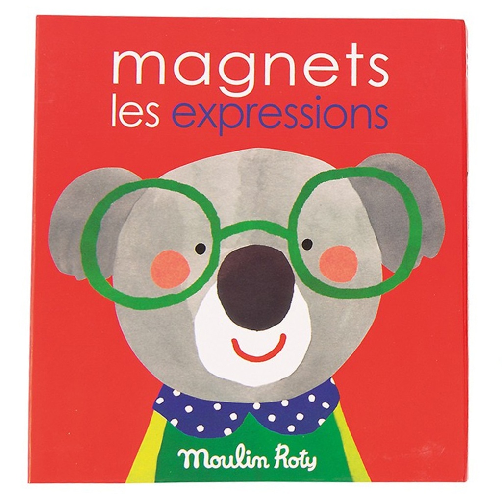 jeu magnétique des expressions Les Popipop