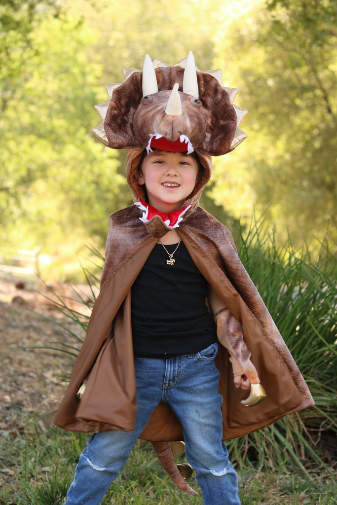 [GRP_56807] Cape Grandasaurus Triceratops 7-8 Ans