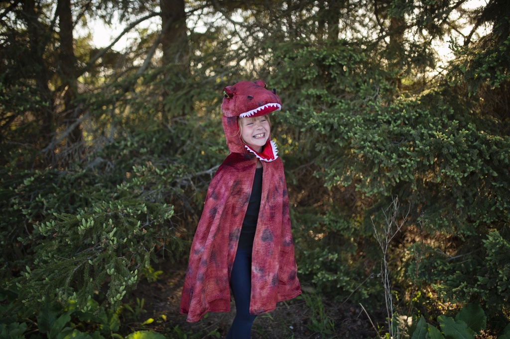 [GRP_56887] Cape Grandasaurus T-Rex 7-8 Ans