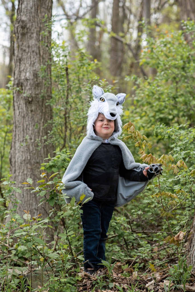 [GRP_57565] Cape Loup 4-6 Ans