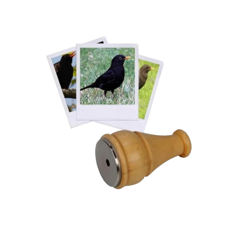 [ZAP_Z02] Appeau Merle Noir les Zapos