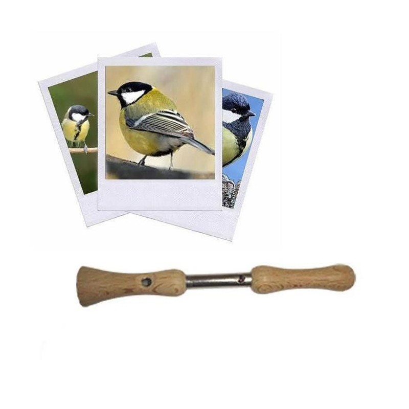 [ZAP_Z08] Appeau Mésange Charbonnière les Zapos