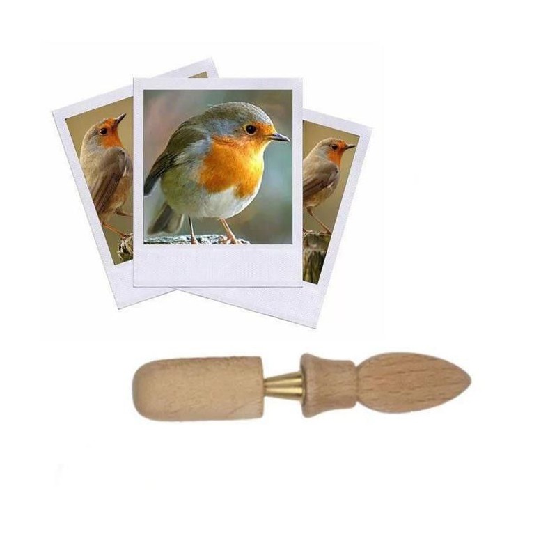 [ZAP_Z18] Appeau Rouge-Gorge les Zapos