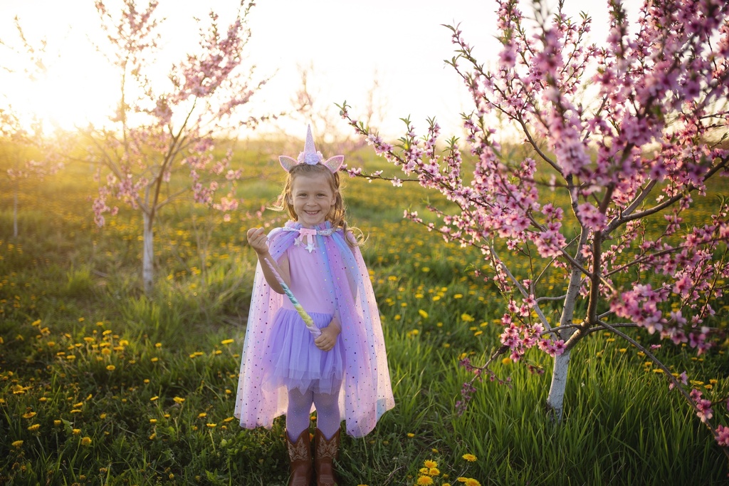 [GRP_51425] Cape de Licorne Arc-En-Ciel avec Coiffe