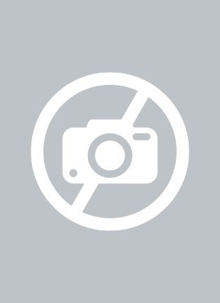 Body Art - Tatouage Papillons de Rêve - Fsc Mix