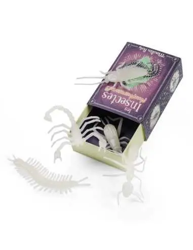 [MOU_711393] 5 Insectes Phosophorescents les Petites Merveilles