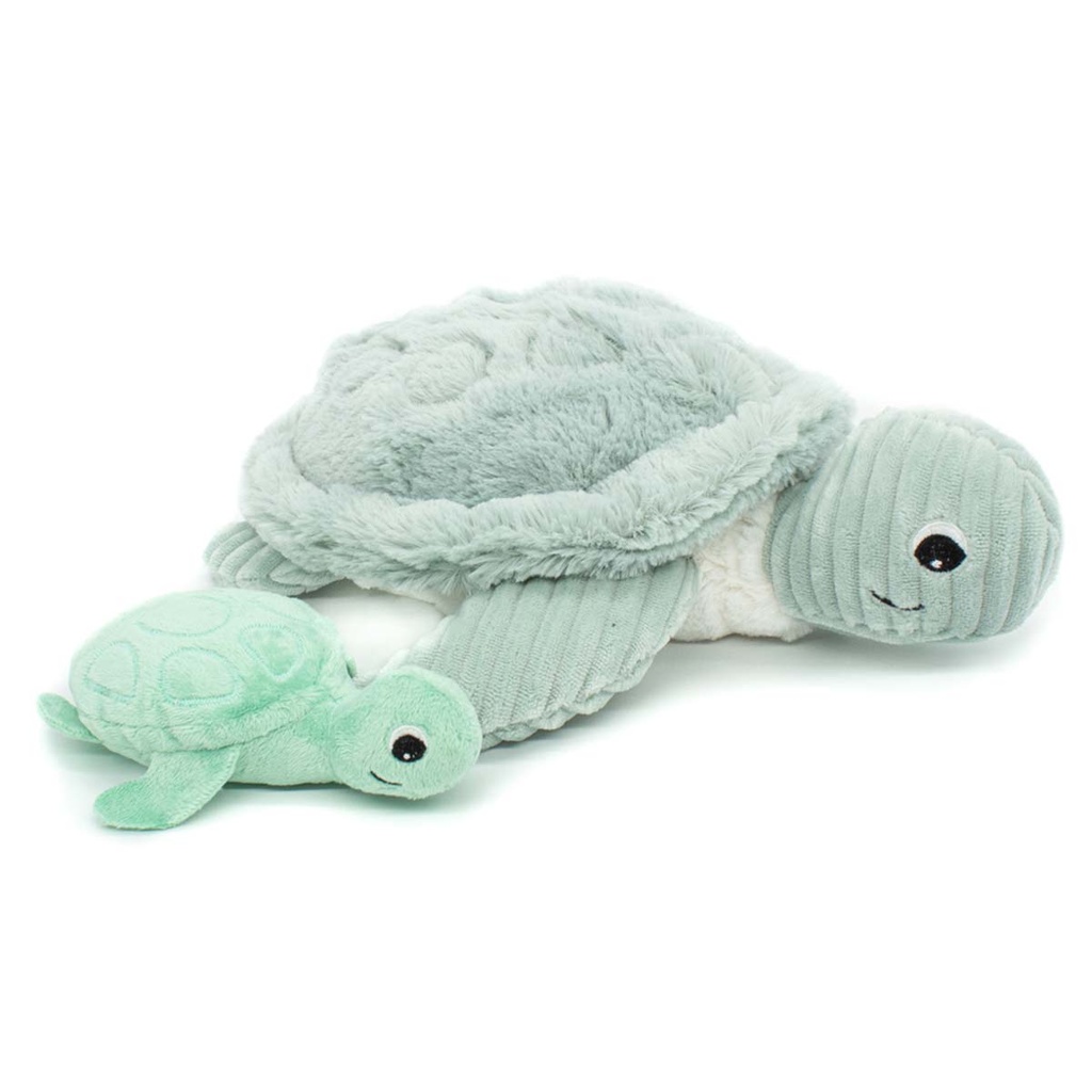 Sauvenou la tortue maman et bébé menthe