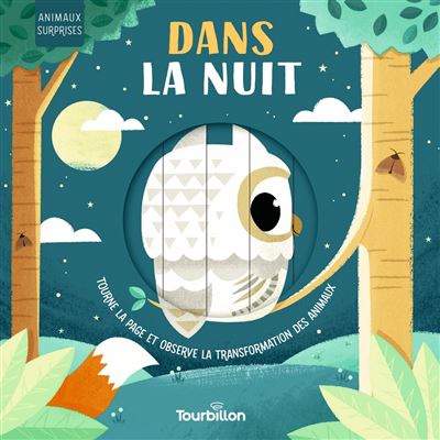 [PIK_11850] Livre Cartonné Animé, dans la Nuit