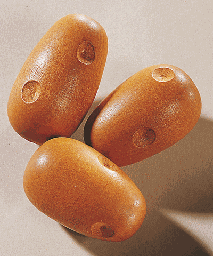 [HAB_1397] Pommes de terre