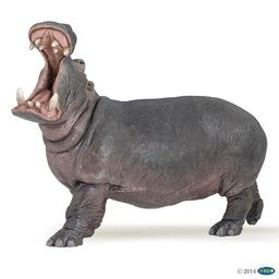 [PAP_50051] Hippopotame , Figurine de La Vie Sauvage Papo