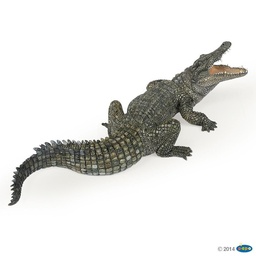 [PAP_50055] Crocodile du Nil , Figurine de La Vie Sauvage Papo