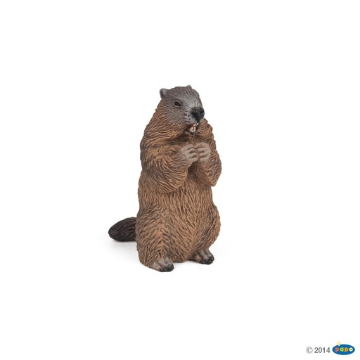 [PAP_50128] Marmotte, Figurine de La Vie Sauvage Papo