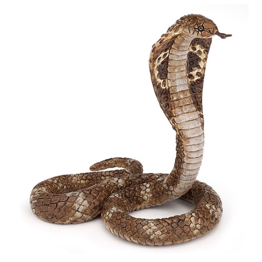 [PAP_50164] Cobra royal, Figurine de La Vie Sauvage Papo