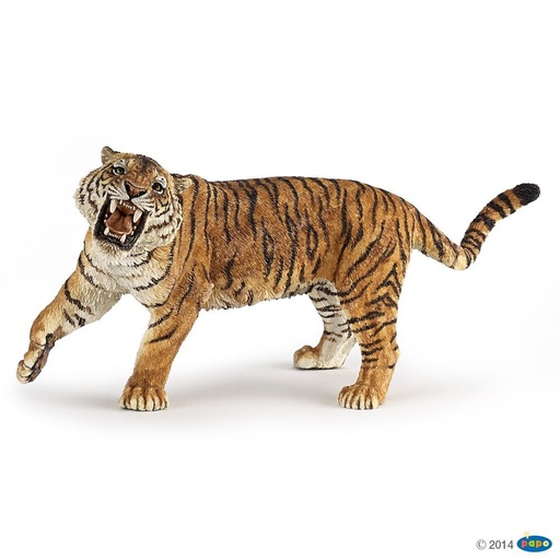 [PAP_50182] Tigre rugissant, Figurine de La Vie Sauvage Papo