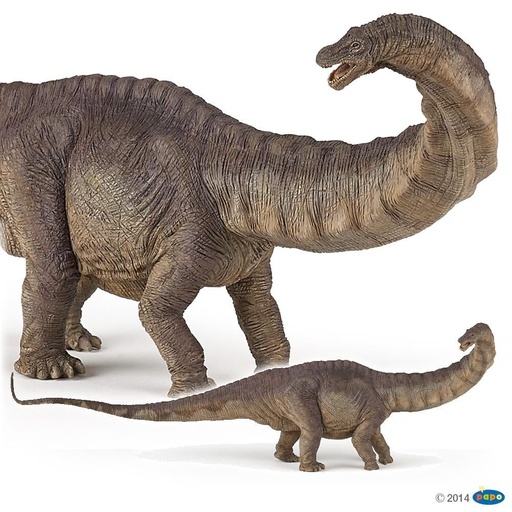 [PAP_55039] Apatosaure, Figurine des Dinosaures Papo