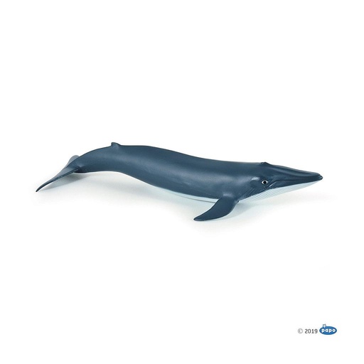 [PAP_56041] Bébé baleine bleue, Figurine de L'Univers Marin Papo