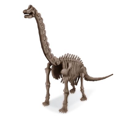 [DAM_5663237] 4M Kidzlabs: DETERRE-TON-DINOSAURE (Brachiosaure) / EMBALLAGE  F R A N C A I S, 
