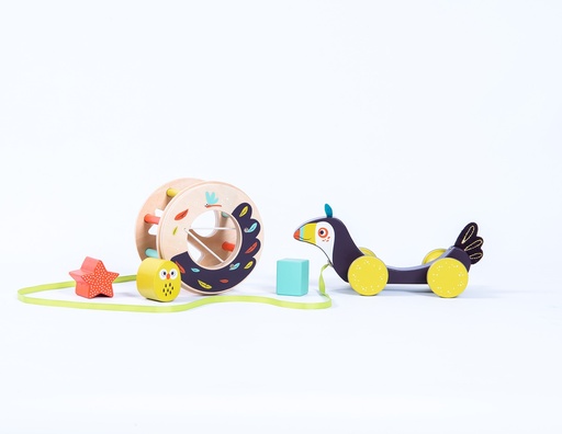 [MOU_668365] Toucan boite à formes à tirer Dans la jungle
