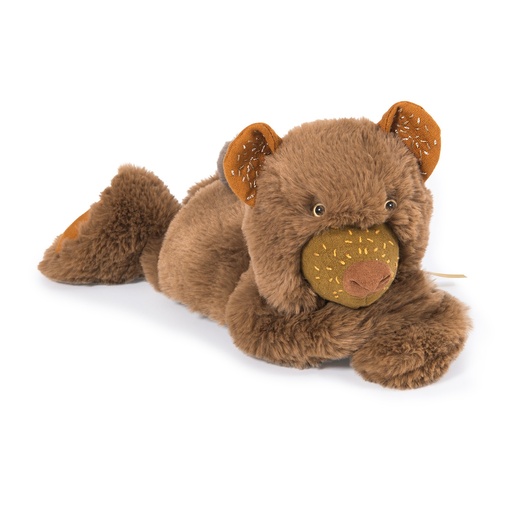 [MOU_718021] ourson brun Chanterelle RDV chemin du loup