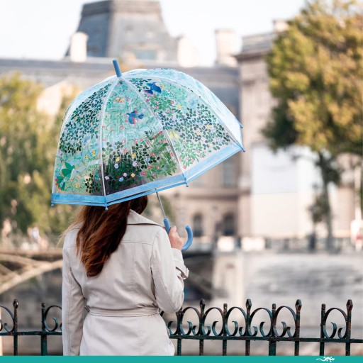 [DJE_DD04721] Parapluie adulte oiseaux sauvages